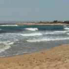 Scopri di più sull'articolo Sognando una spiaggia sotto un mite sole di Maggio